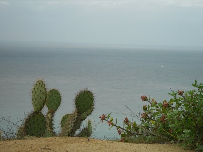 Ocean view on a cloudy day at Cabrillo Monument.