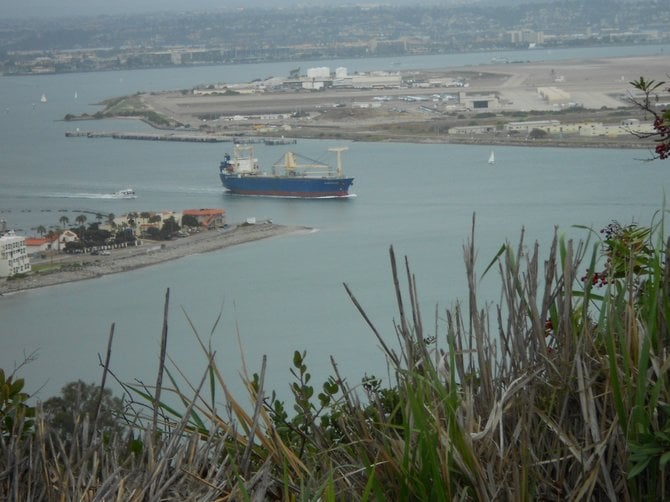 Container ship seen from Cabrillo Monument vista.