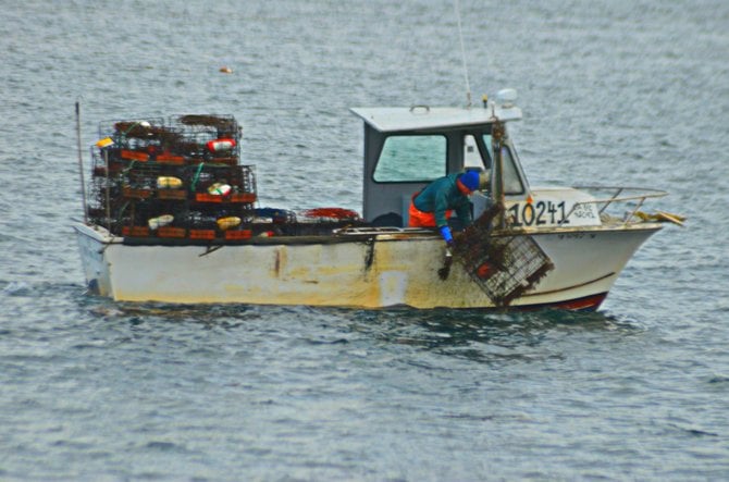 Fisherman coming into La Jolla Cove