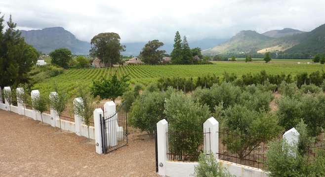 Vineyards in South Africa's beautiful Franschhoek Valley
