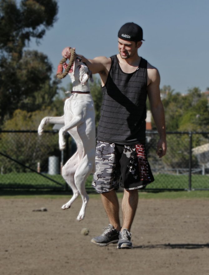 Playtime at the dog park in Rancho Penasquitos