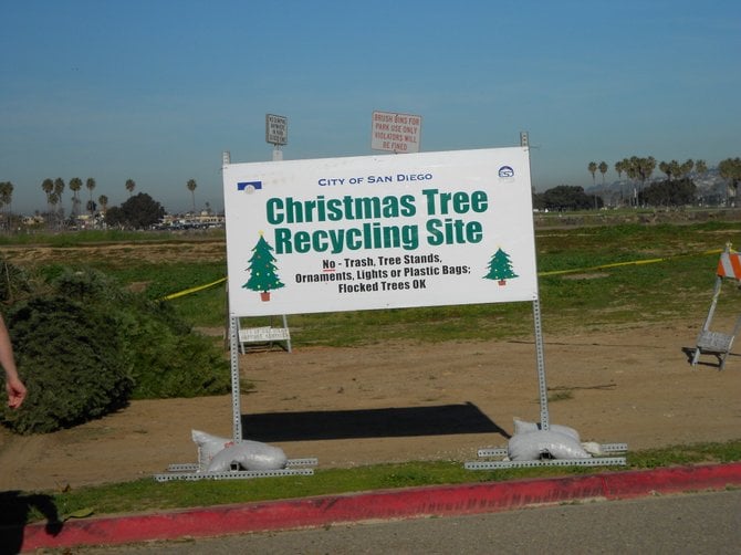 Please recycle your Christmas trees.