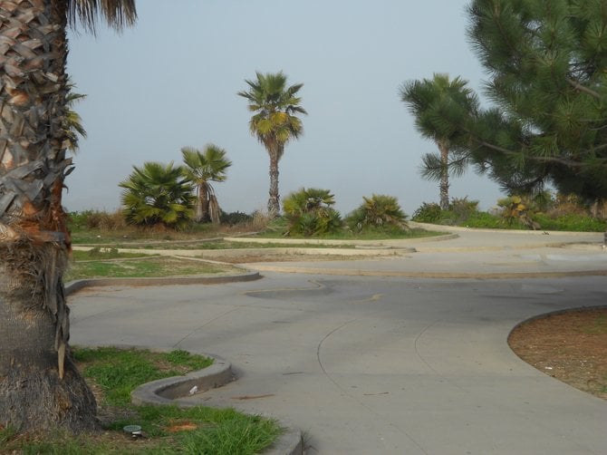 Ocean Beach kiddie skateboard park at Robb Field.