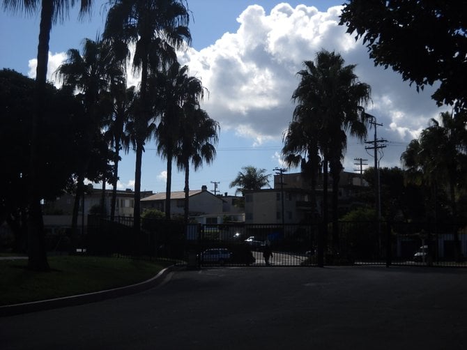 Dramatic clouds and trees in shadow along West Pt. Loma Blvd.