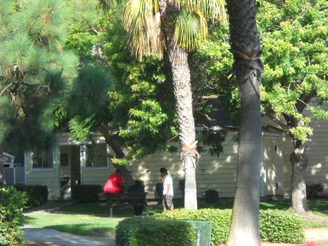 Loitering near laundry rooms at Mariner's Cove Apartments.