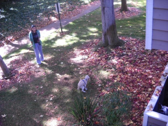 Not an especially appetizing sight in your front yard at Mariner's Cove.