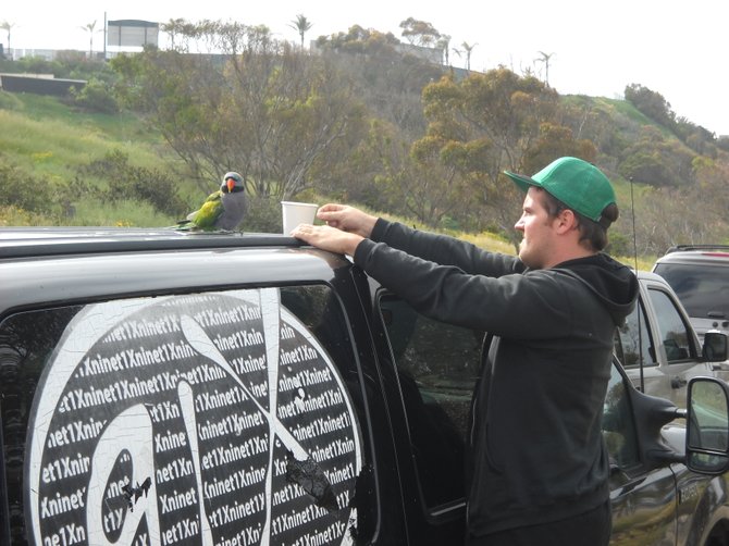 Surfrider beach clean-up at Sunset Cliffs near PLNU and a friendly bird visitor in 2011.