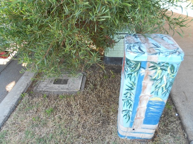 Bamboo-themed utility box art along West Pt. Loma Blvd.