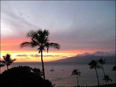 Maui Sunset. www.scripca.com
