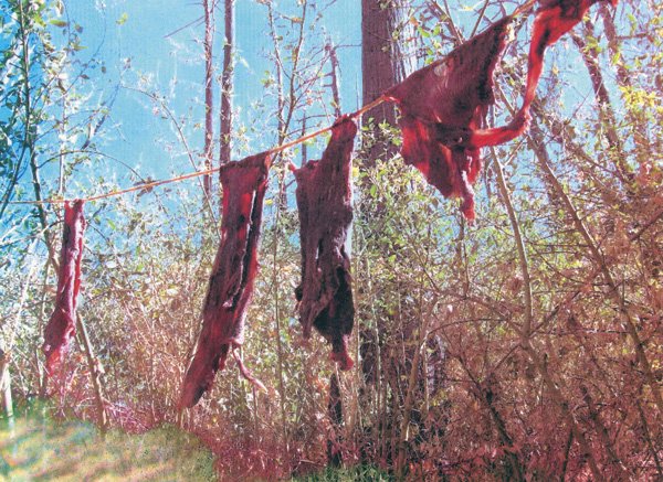 Another rope held strips of freshly killed deer meat.