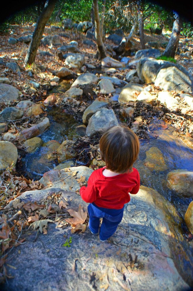 My son overlooking the stream at Flinn Springs County Park, in east county.