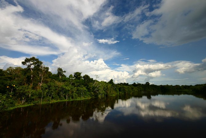 Amazon river.