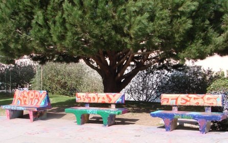 La Jolla High's "senior benches"