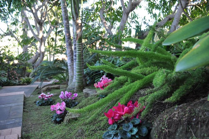 Meditation Gardens in Encinitas
  