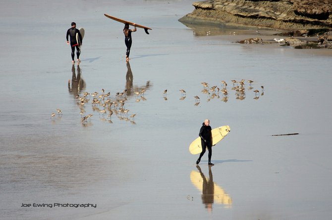 Encinitas








Swami's
