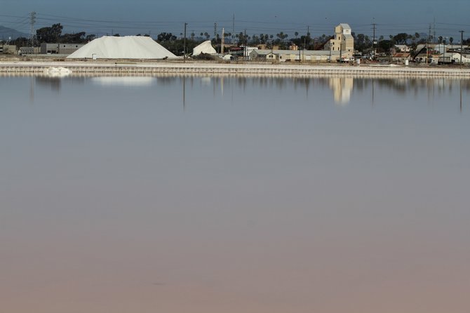 South Bay salt factory.  The second oldest business in San Diego County, the South Bay Salt Works is hidden away on a stretch of San Diego Bay in Chula Vista.