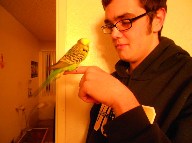 My son with his pet bird, Bridget.