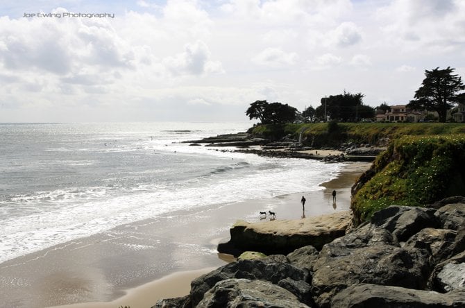 Mitchells Cove, Santa Cruz, California









Surfers playground