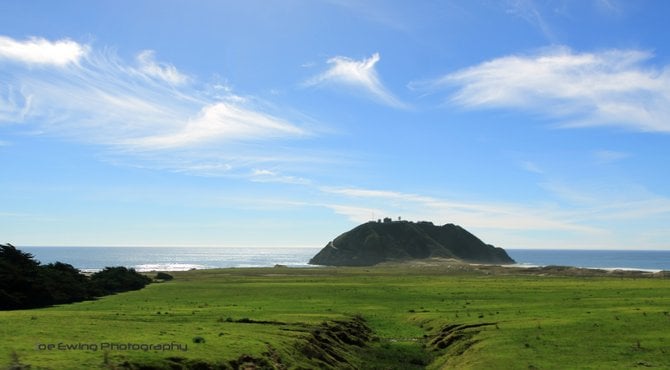 Green Pastures









Point Sal, Big Sur, California