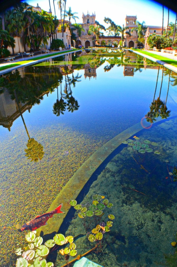 Balboa Park with a fisheye...view from Botanical Gardens