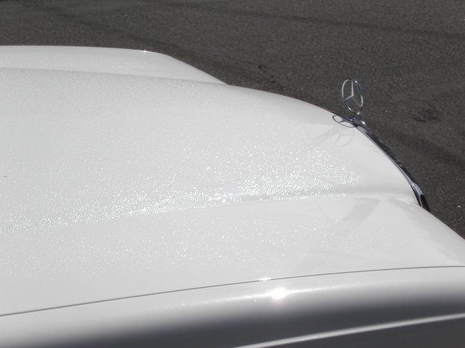 late morning dew on car hood in clairemont