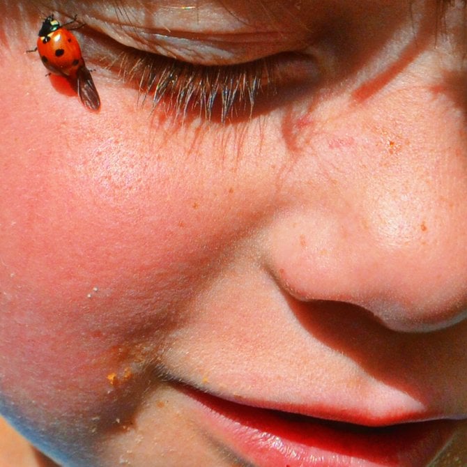 My son Fin getting to know a ladybug in our backyard, on a beautiful spring day.

College Grove, San Diego