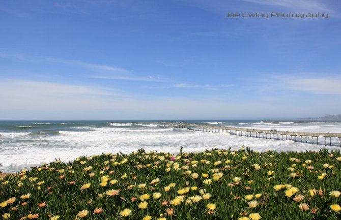 Spring in Ocean Beach









Ocean Beach