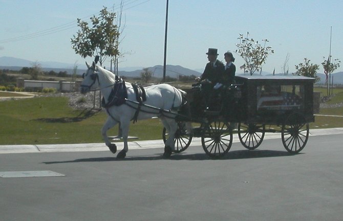 horse and funeral carriage at miramar national cemetary