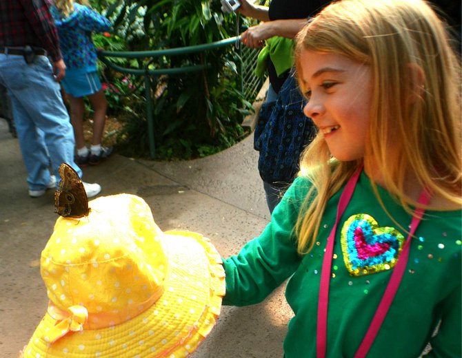 New Spring Bonnet...

My daughter "catching" a butterfly at San Diego Safari Park's Butterfly Jungle