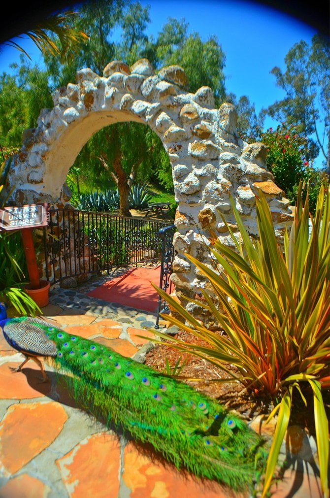 Colors and textures at the Leo Carrillo Ranch in Carlsbad.