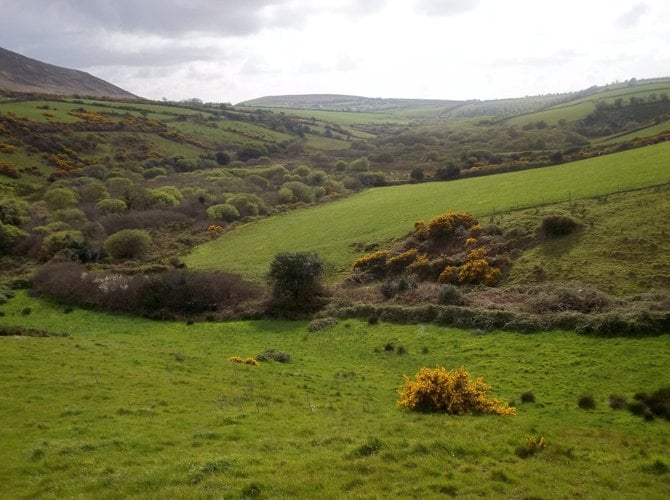 The Dingle Peninsula has some of the most pleasant scenery in Ireland.