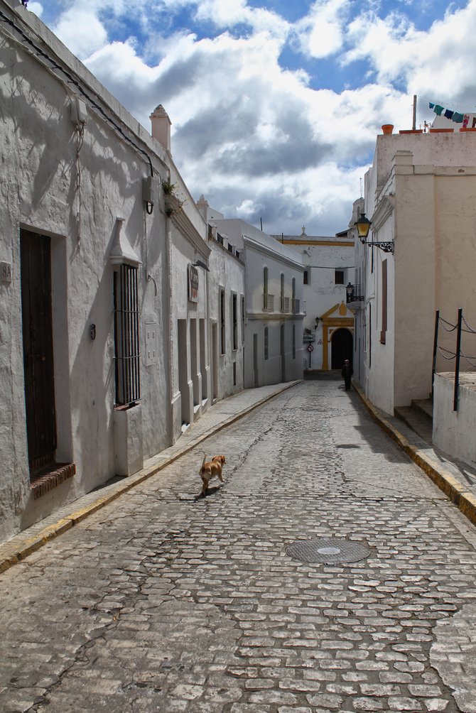 Vejer De La Frontera, Andalucia Spain.  

One in the myriad of winding backstreets.