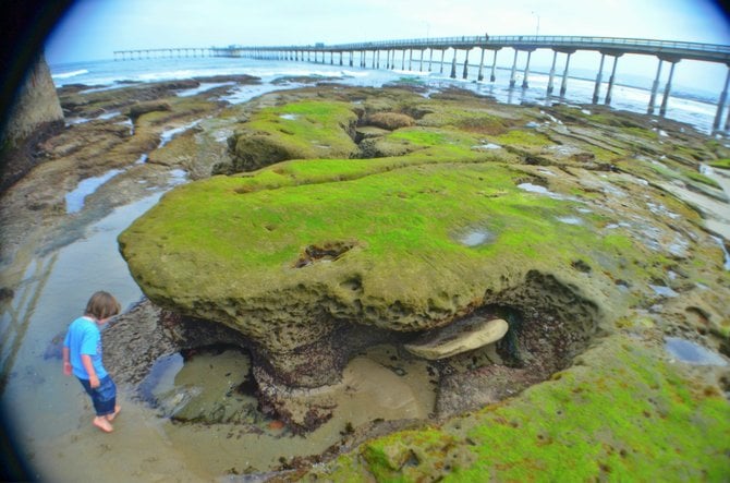 OB at Low Tide