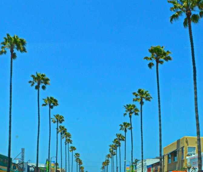 Iconic California. Newport Ave., OB