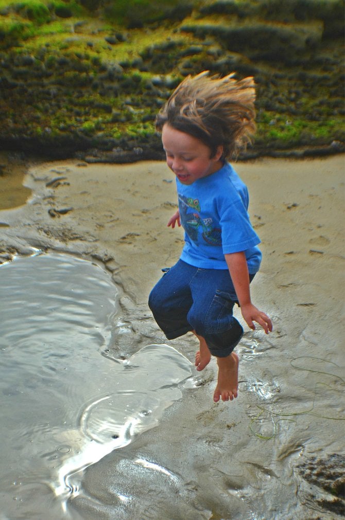 Fin at the Tide Pools, Ocean Beach