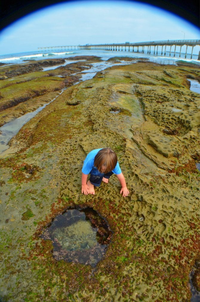 Low Tide Fish Eyed. OB