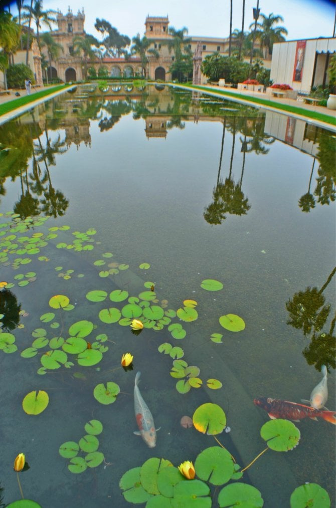 Balboa Park Pond