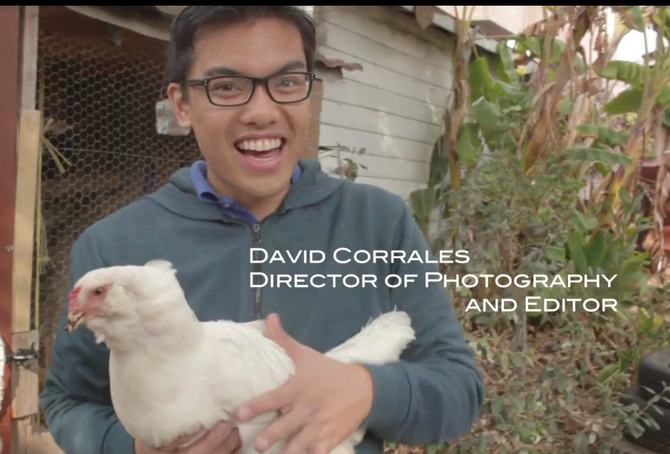 David Corrales cautiously befriends a chick in in the city.