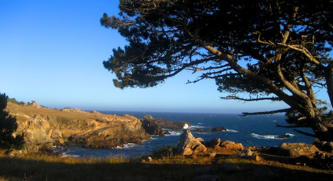 Postcard-worthy shot in Salt Point State Park, ninety miles north of SF.