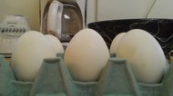 photo thumbnail
