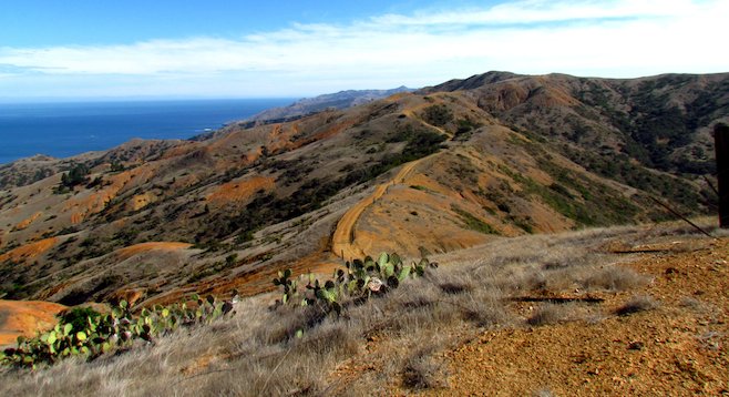 The stark beauty of Catalina Island, from Silver Peak Trail.