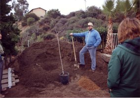 1990 - Bill is giving a tree planting demonstration prior to a community tree planing on Poplar St. in the Azalea Park Neighborhood.