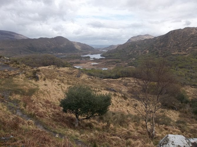 View of the lakes in Killarney National Park, Ireland.