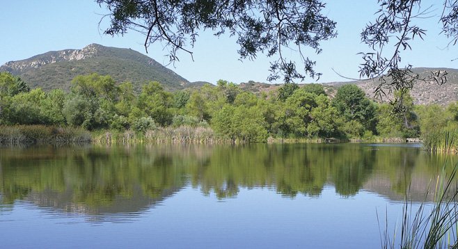 The lush vegetation around Kumeyaay Lake has created a first-class wildlife habitat.