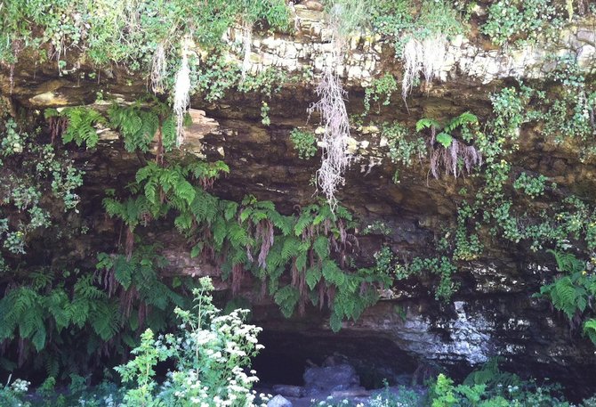 Cave in Wilder Ranch State Park