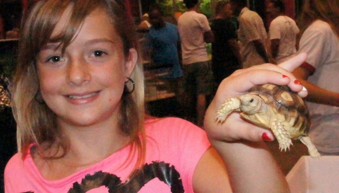 Francesca, 10, shared her tortoise. Photo Bob Weatherston. 