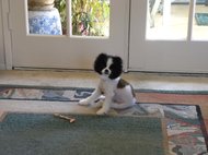 photo thumbnail