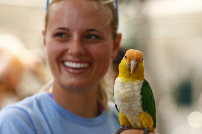 A visitor to Free Flight Exotic Birds makes a new friend.  Del Mar