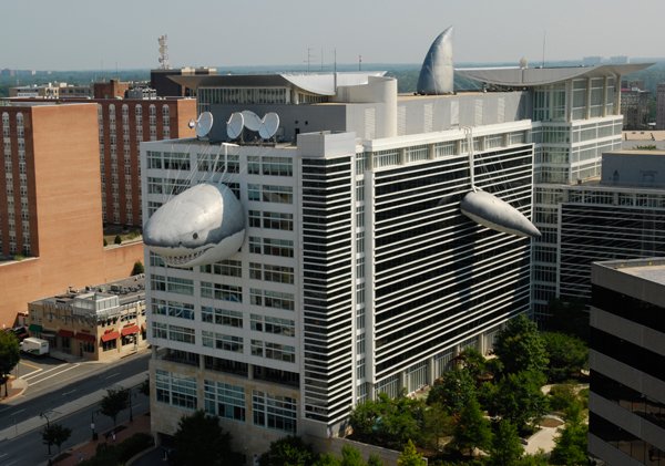 Chompie on the Discovery Channel's Communications' Headquarters in 2010.
