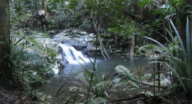Stumble upon pools like this one in Oz's lush Atherton Tablelands. 
